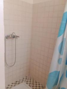 阿伊特乌里尔Atlas Resorts的带淋浴、卫生间和浴帘的浴室