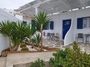 Vrisi/ MykonosNikos Rooms的棕榈树庭院和蓝色门