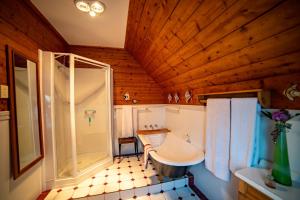 斯坦利Poet's Cottage Stanley的带淋浴、盥洗盆和浴缸的浴室