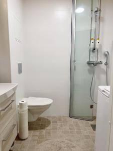 埃斯波Cozy apartment with free parking的一间带卫生间和玻璃淋浴间的浴室