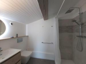 Jau-Dignac-et-LoiracRavissant studio à la ferme avec piscine的带淋浴、卫生间和盥洗盆的浴室