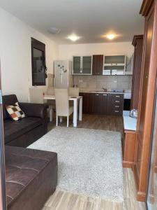 贝西奇Apartment in Becici的带沙发的客厅和厨房