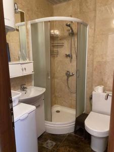 贝西奇Apartment in Becici的带淋浴、卫生间和盥洗盆的浴室