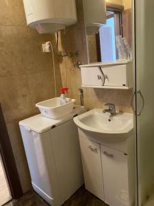 贝西奇Apartment in Becici的一间带水槽和镜子的小浴室