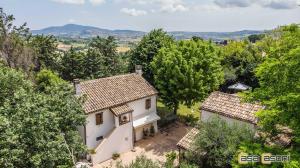 奥西莫Casa dei Pini Country House的树木房屋的空中景致