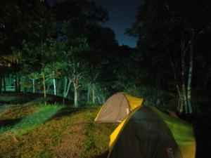 特特巴图Joben Ecolodge的田野边的帐篷