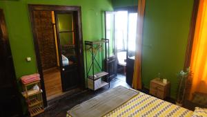 伊兹密尔Titan House Hostel的一间卧室设有绿色的墙壁、一张床和一扇门