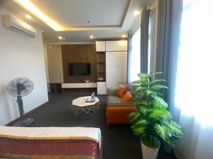 河内Win Villa Hotel & Apartment的带沙发和植物的客厅