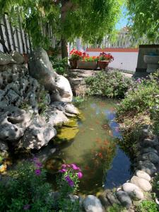 泰尔莫利B & B Villa Fiorella的花园里的锦 ⁇ 池塘,种有岩石和花卉