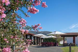 圣艾蒂安德拜戈里VVF Pays Basque Saint-Étienne-de-Baïgorry的一座配有桌子、雨伞和粉红色花卉的建筑