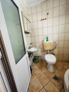 普里什蒂纳Guest House Velania的一间带卫生间和水槽的浴室