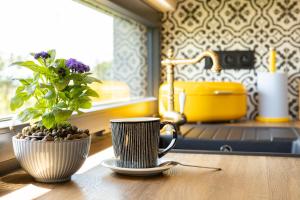 Veľká TŕňaUbytovanie na Tokaji Empora Apartman的桌上的咖啡和盆栽植物
