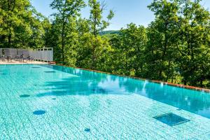 玛特阿哈泽马特劳生活方式酒店的一座树木环绕的大型游泳池