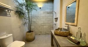 塞隆贝拉纳克Pandan Villas的一间带水槽、卫生间和淋浴的浴室