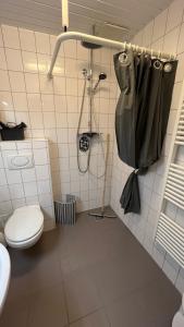 尼布尔Ferienhaus Alte Schule Niebüll的一间带卫生间和淋浴的浴室。