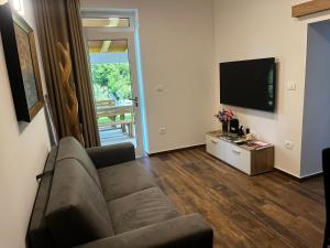 安卡兰Active Chillax Oasis Apartments的带沙发和平面电视的客厅
