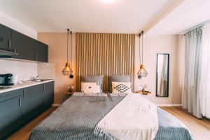 科布伦茨Premium Apartments Koblenz的一间卧室设有一张大床和一个水槽