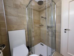 隆科索普拉阿斯科纳Holiday Home Villetta Irma by Interhome的浴室设有玻璃淋浴间和卫生间