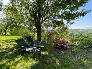 Belvedere LangheApartment Gatto - MZO101 by Interhome的坐在树旁的草上椅子