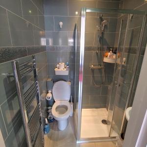 利夫斯登格林EnSuite Room with private shower, walking distance to Harry Potter Studios的一间带卫生间和淋浴的小浴室