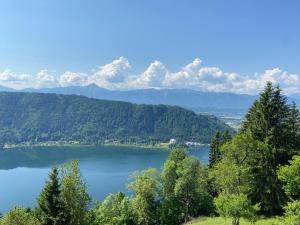 安嫩海姆Bauernhof Landhaus Hofer的享有以山脉为背景的湖泊美景