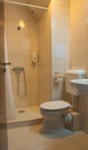 巴拉顿菲赖德帕隆酒店的浴室配有卫生间、淋浴和盥洗盆。