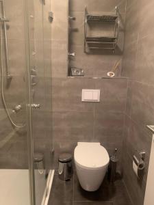 乌尔姆Zimmer mit eigenem Bad的一间带卫生间和淋浴的小浴室