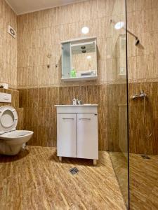 赫尔采格诺维Apartment Jovana的浴室配有卫生间、盥洗盆和淋浴。