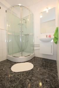 雷克雅未克Johann´s Guesthouse的一间带玻璃淋浴和水槽的浴室