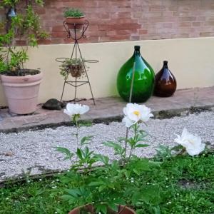 博洛尼亚B&B Marana 14 Casa di Campagna的花园,有三个花瓶和白色的花
