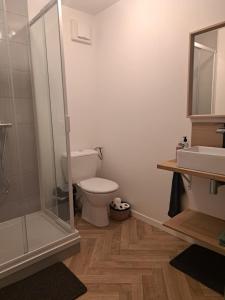 CombrondeCharmant petit cocon en Auvergne的浴室配有卫生间、淋浴和盥洗盆。