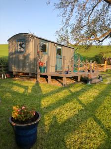 科文The Peacock Shepherds Hut at Hafoty Boeth的院子里的小房子,有门廊