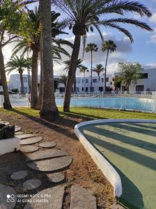 科拉雷侯Alojamientos playa Centro Corralejo 4的棕榈树公园和游泳池