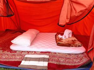 金塔马尼Kintamani Adventure Hidden Lodge的帐篷内的一张床位,里面装着一只猫