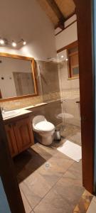 莱瓦镇Casa Campestre Flores Amarillas的浴室配有卫生间、盥洗盆和淋浴。