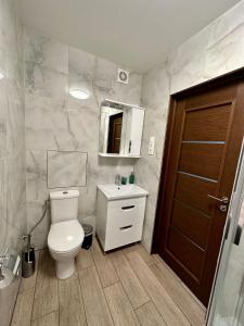 古尔贝内Swan City Family Apartment的一间带卫生间、水槽和镜子的浴室