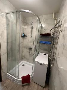 古尔贝内Swan City Family Apartment的带淋浴、卫生间和盥洗盆的浴室