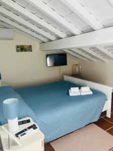 库巴Cuba Real的一间卧室配有一张蓝色的床和一台平面电视