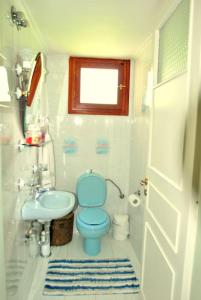 马拉希亚斯Fokiotripa (lovely villa on an enchanting beach)的浴室设有蓝色的卫生间和水槽。