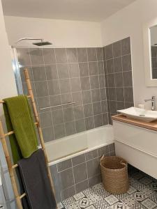 蒙蒂尼布勒托讷Studio 28 m2 & jardin privatif 20 m2的带淋浴、水槽和毛巾架的浴室