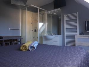 RuaudinChambres d'hôtes Sébastien的一间卧室设有一张带淋浴和水槽的床。
