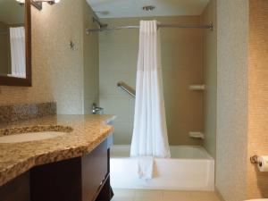 罗切斯特卡勒大酒店的带淋浴、盥洗盆和浴缸的浴室