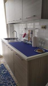 圣贝内代托-德尔特龙托Appartamento Nautes的厨房配有水槽和蓝色台面