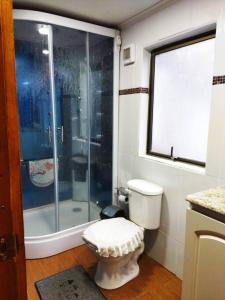 奇廉Cabaña en Recinto con piscina y tinaja的一间带卫生间和玻璃淋浴间的浴室