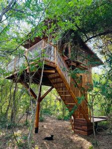 GuatemalaTamarindo Pura Selva Eco Tree House的森林中间的树屋