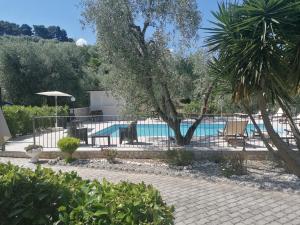 佩斯基奇Agriturismo Valle Dei Gelsi的一个带围栏和棕榈树的游泳池