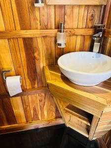 GuatemalaTamarindo Pura Selva Eco Tree House的一间带水槽和木墙的浴室