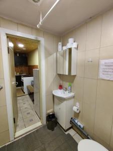PaduyelisŽalioji的一间带卫生间和水槽的浴室