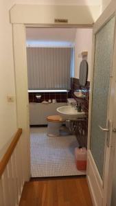 不莱梅Double Room with a Kitchen and a Shared Bathroom的一间带卫生间和水槽的浴室