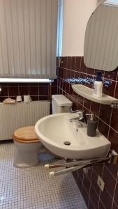 不莱梅Double Room with a Kitchen and a Shared Bathroom的一间带水槽、卫生间和镜子的浴室